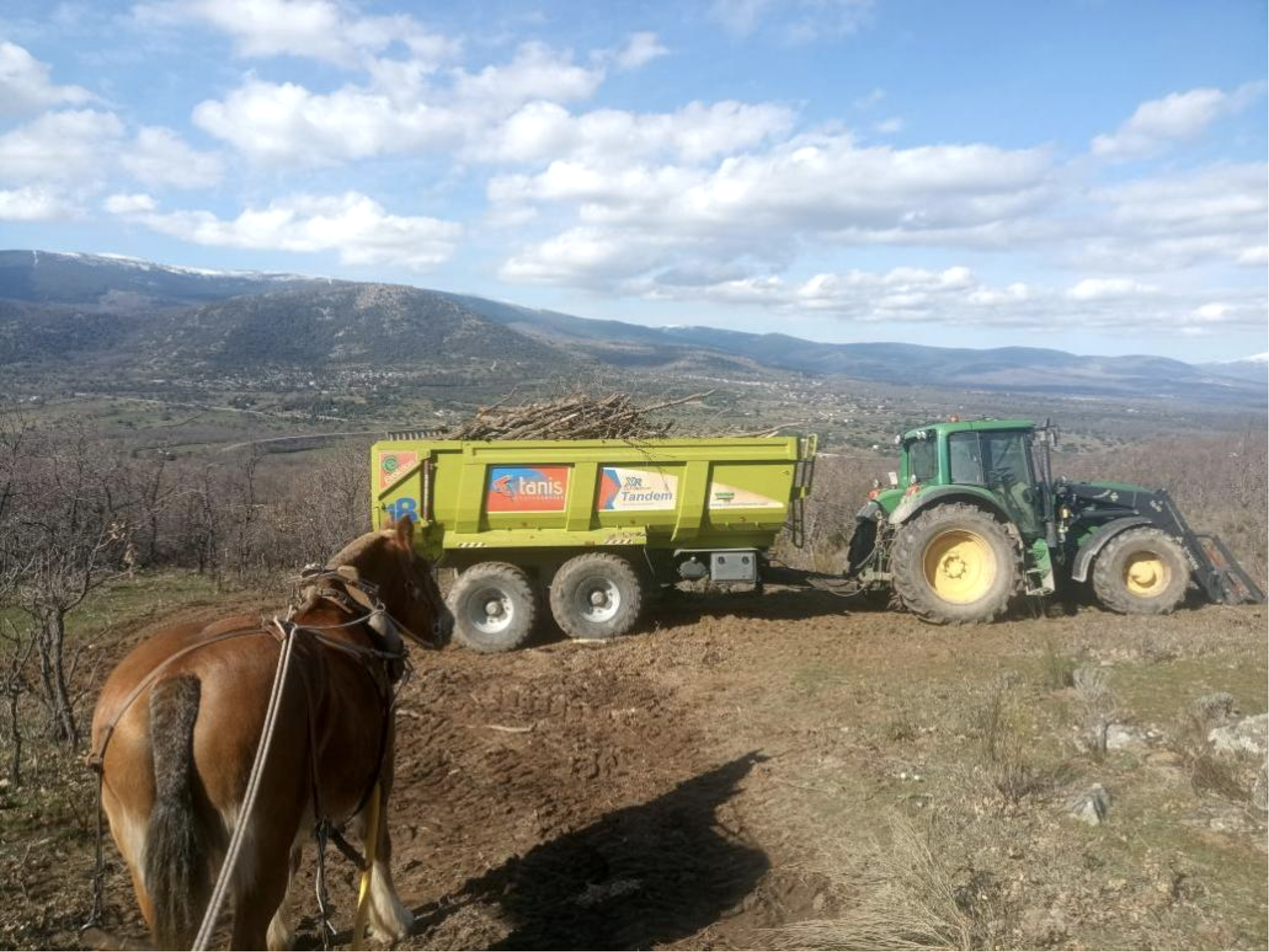 Equipo forestal con carro