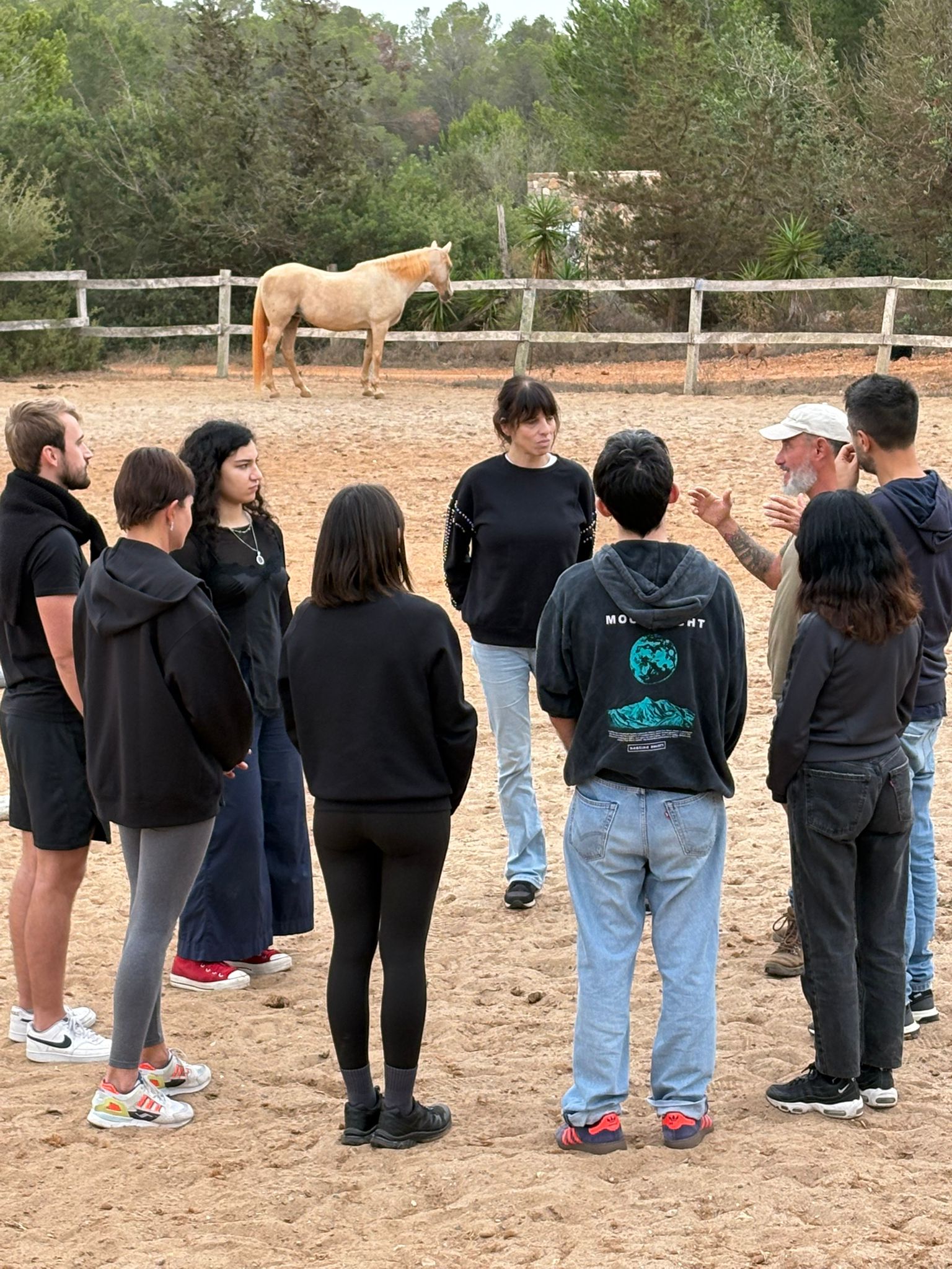 Sesión de coaching con caballos