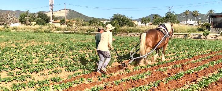 Espacio de transformación