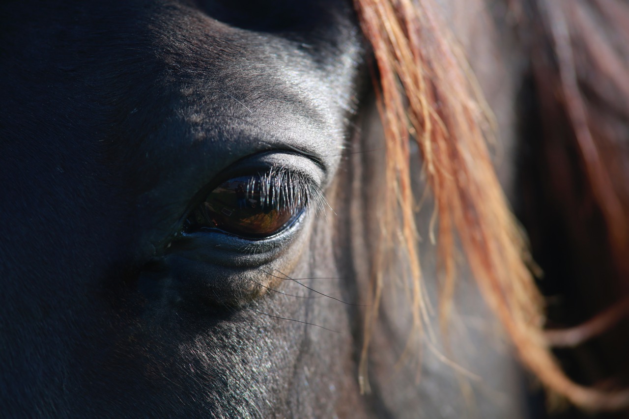Transformación personal