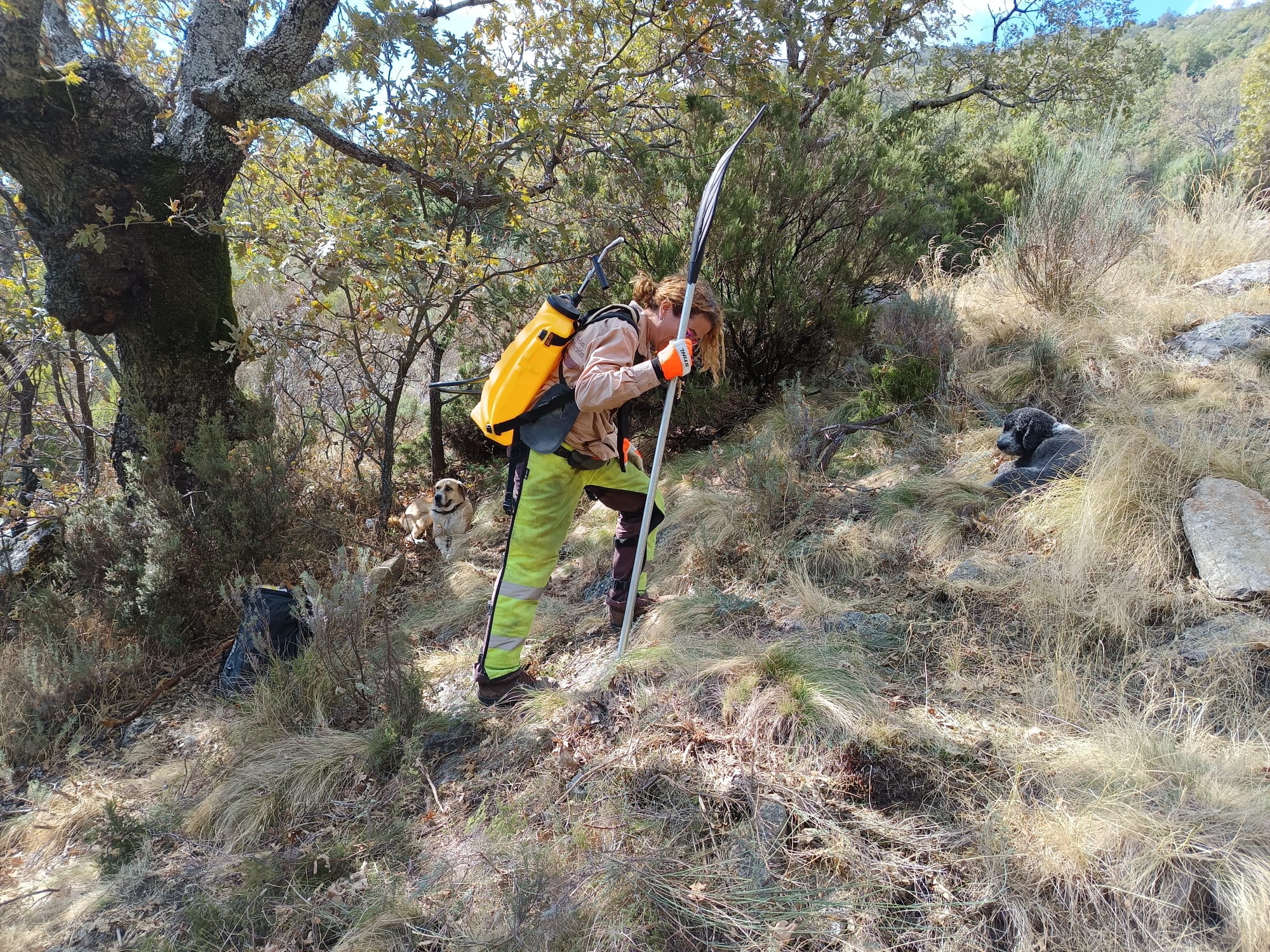 Equitracción fundación