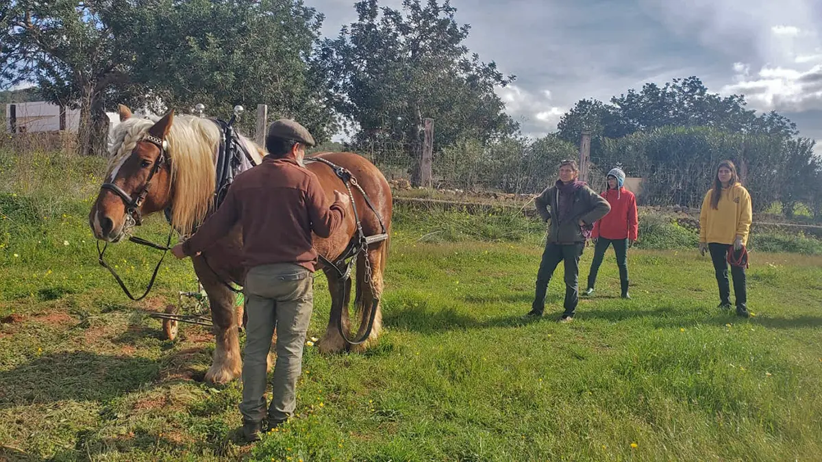 Trabajo forestal con tracción animal